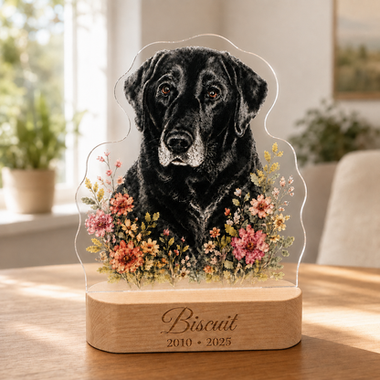 Personalized Dog Memorial Night Light