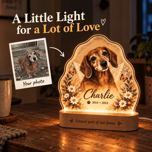 Custom Dog Memorial Night Light with Angel Wings Butterflies - Everfondly