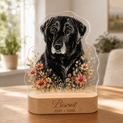 Personalized Dog Memorial Night Light - Everfondly
