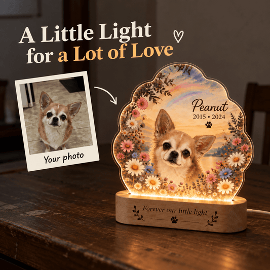 Personalized Rainbow Bridge Dog Memorial Light with Flower Meadow - Everfondly