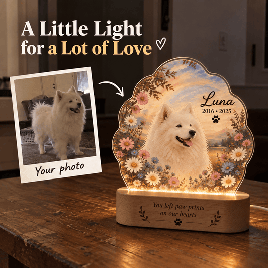Personalized Dog Memorial Night Light – Rainbow & Wildflowers - Everfondly